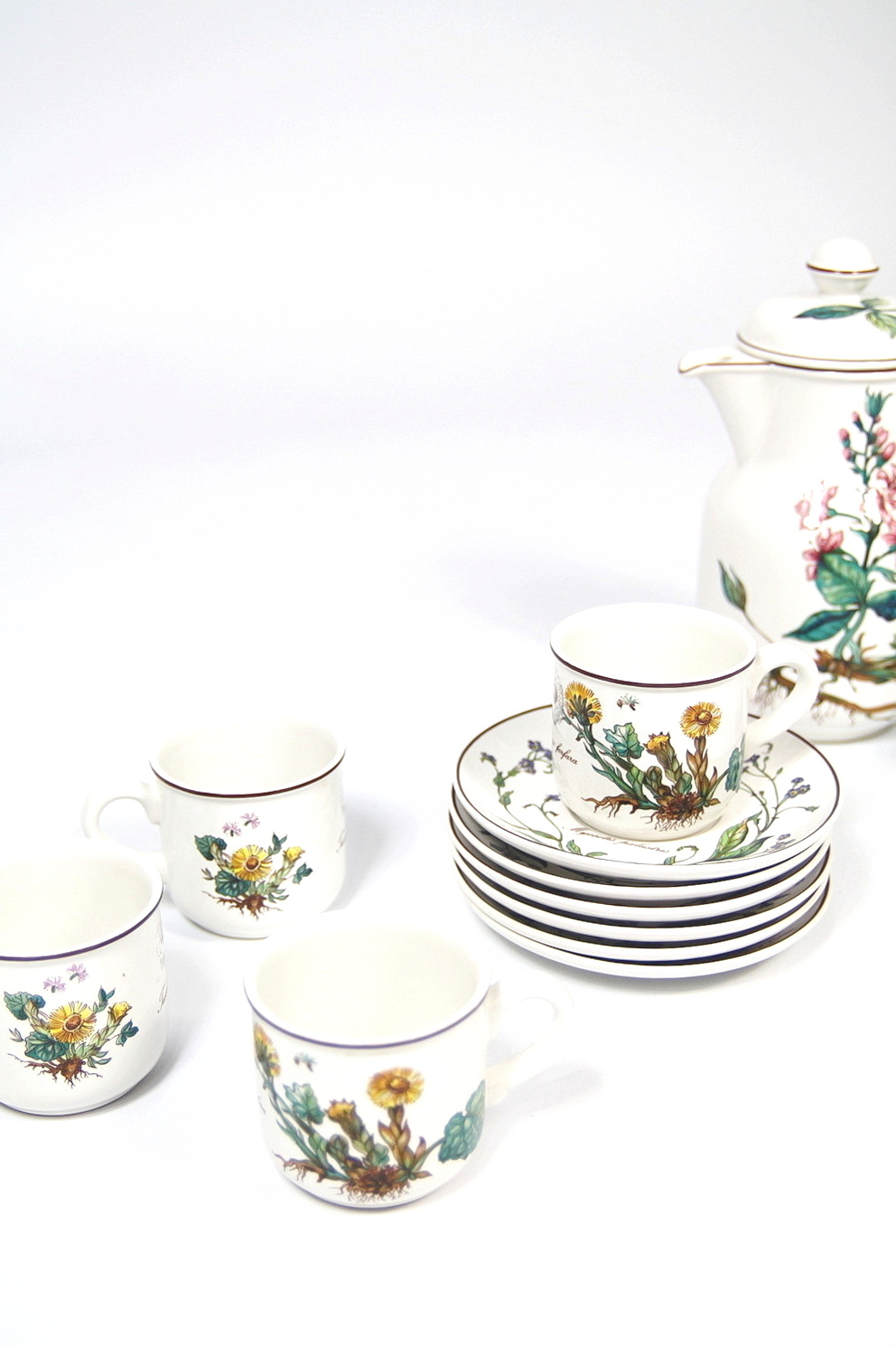 SET VINTAGE VILLEROY & BOCH BOTANICA - curatoria