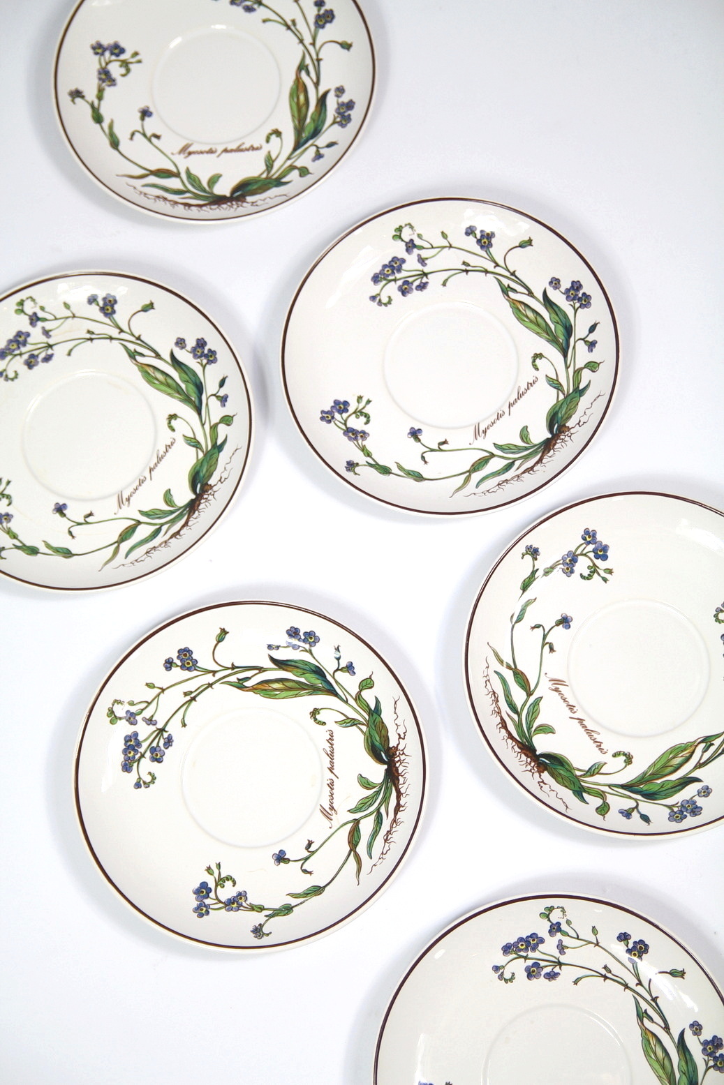 SET VINTAGE VILLEROY & BOCH BOTANICA - curatoria